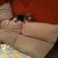 Su sitio favorito: encima del sofá. Le gusta estar más alta que nadie en casa